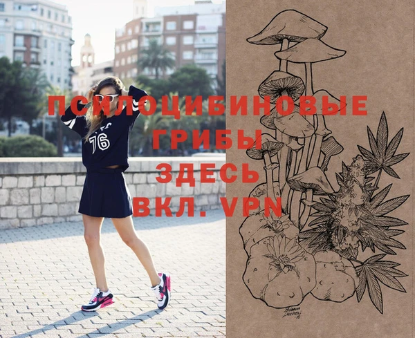 Альфа ПВП Алексеевка