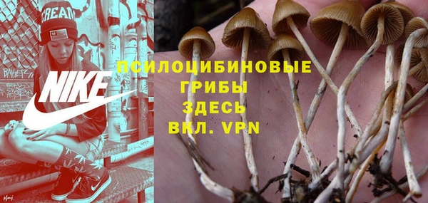 сатива Алексин