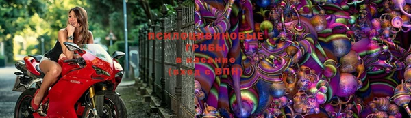 сатива Алексин